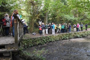 3 le lavoir (10)